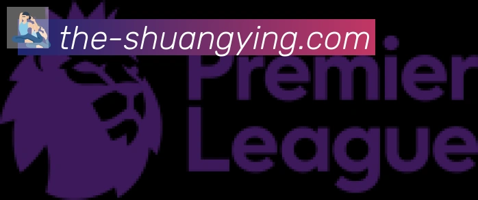 双赢彩票入口合作伙伴